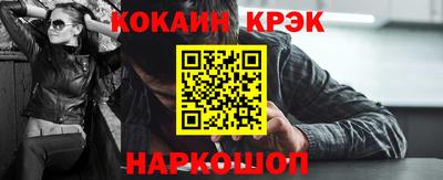 крисы Кингисепп