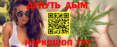 крисы Кингисепп