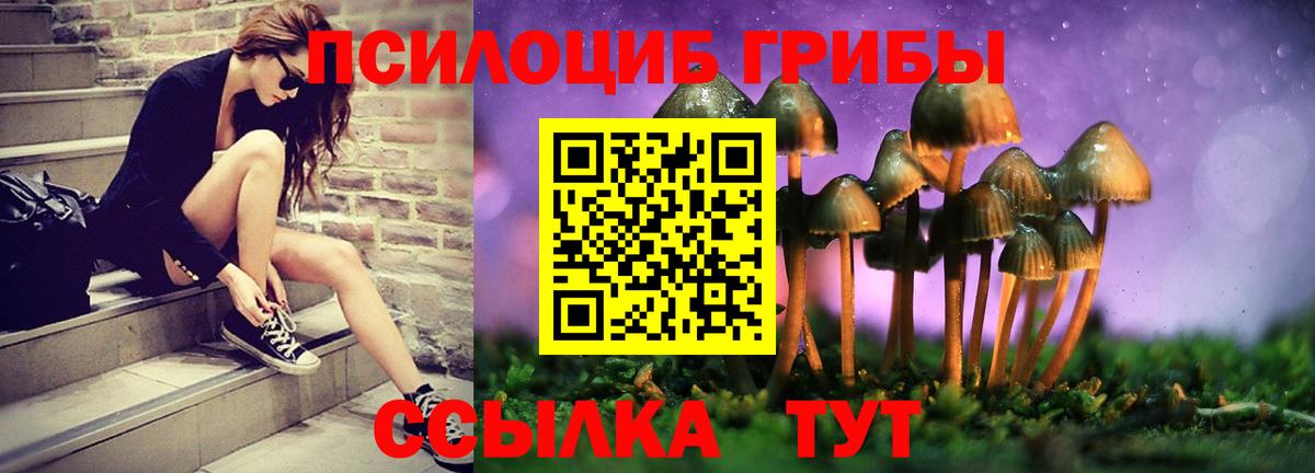 Галлюциногенные грибы Psilocybine cubensis  Вход с VPN  Узловая 